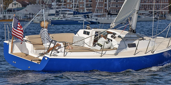 Person sailing blue and white boat, flag visible.