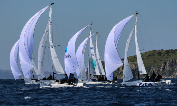 Sailboats racing with full spinnakers on a sunny day.